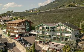 Pension Hoefler - Fernblick